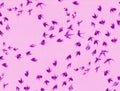 Silhouettes of swallows abstract feathers Royalty Free Stock Photo