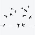 Silhouettes of swallows sitting on wires. Black contour of a flock of birds. Black and white illustration. Tattoo.