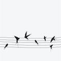 Silhouettes of swallows sitting on wires. Black contour of a flock of birds. Black and white illustration. Tattoo.