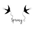 Silhouettes of swallows with the text `Spring`