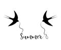 Silhouettes of swallows with the text `Summer`