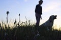 Silhouettes Of A Teenage Girl Walking With Her Pet.