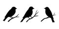 Bird Silhouettes on Branches Minimalist Black and White Nature Vector Illustration Royalty Free Stock Photo