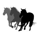 Silhouettes of three horses running Royalty Free Stock Photo