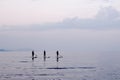 Silhouettes of three people float on surfboard on a calm sea at dusk