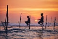 Traditional stilt fishing in Sri Lanka