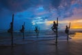 Silhouettes of the traditional Sri Lankan stilt fishermen Royalty Free Stock Photo