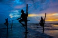 Silhouettes of the traditional Sri Lankan stilt fishermen