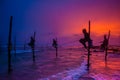 Silhouettes of the traditional Sri Lankan stilt fishermen Royalty Free Stock Photo