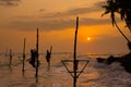 Silhouettes of the traditional Sri Lankan stilt fishermen Royalty Free Stock Photo