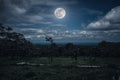 Silhouettes of trees against night sky with clouds and bright full moon. Royalty Free Stock Photo