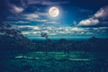 Silhouettes of trees against night sky with clouds and bright full moon. Cross process. Royalty Free Stock Photo