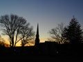 Silhouette of trees and town buildings