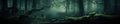 Silhouettes of trees in a dark night forest with a blue and green of fog. Royalty Free Stock Photo