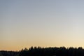 Silhouettes of trees in a field during a calming sunset in the evening - perfect for wallpapers