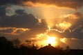 Silhouettes trees, houses golden clouds at sunset