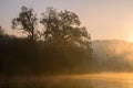 Silhouettes of trees on a misty foggy morning on the lake shore Royalty Free Stock Photo