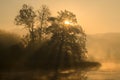 Silhouettes of trees on a misty foggy morning with sun rays coming through the tree branches on the lake shore in Europe. Royalty Free Stock Photo