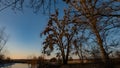 Silhouettes of trees and a river in winter evening lighting, panoramic landscape in the countryside Royalty Free Stock Photo