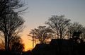 Silhouettes trees and roofs against sunset sky