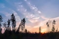 Silhouettes of trees and the setting sun over the marsh