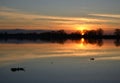 Silhouettes of trees at sunset on the shore of a meadow lake in winter Royalty Free Stock Photo