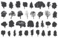 Silhouettes of trees vector set Royalty Free Stock Photo