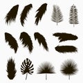 Silhouettes of tropical and palm leaves. Set of isolated jungle exotic plants leaf. Hand drawn monochrome illustration. Royalty Free Stock Photo