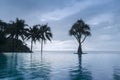 silhouettes of tropical palm trees against the blue background of a beautiful fabulous sunset. the magical reflection Royalty Free Stock Photo