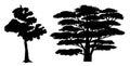 Silhouettes of two deciduous trees Royalty Free Stock Photo