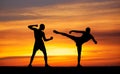 Silhouettes of two fighters Royalty Free Stock Photo