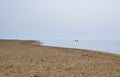 Silhouettes of two horsemen are set against the backdrop of the sea and a deserted sandy beach. Royalty Free Stock Photo