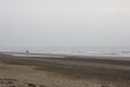 Silhouettes of two people walking along the cold winter shore of the north sea at sunset