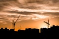 The silhouettes of two tower cranes and houses during sunset, sunset with an orange sky in the city Royalty Free Stock Photo