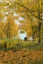 Silhouettes of two unrecognizable people, walk in the autumn park. Seasons, nostalgic mood, love and friendship concept