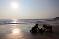 Silhouettes of children play with sand in the Bekal beach