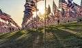 Many American US flags flying on poles with sunset backlight.