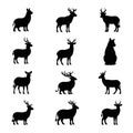 Of various animals are arranged in a grid pattern on a white Royalty Free Stock Photo