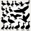 Silhouettes of various ducks and geese Royalty Free Stock Photo