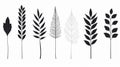 Ethereal Illustrations Of Minimalist Black And White Plants