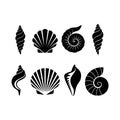 Silhouettes of various seashells are arranged in two rows, each displaying a unique shape and pattern Royalty Free Stock Photo