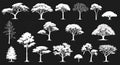 Silhouettes of various tree shapes displayed on a black background. Each tree Royalty Free Stock Photo