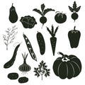 Silhouettes of vegetables and spices on a white background. Vector outlines