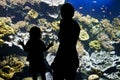 Silhouettes of visitors in an aquarium