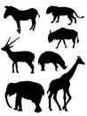 Silhouettes wild animals