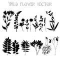 Silhouettes of wild flowers and leaves vector