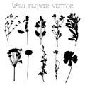 Silhouettes of wild flowers and leaves vector