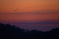 Silhouettes of wild swans flying in the colorful sky at sunset. Cygnus birds on the sky