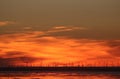 Silhouettes of wind turbines on horizon at sunset Royalty Free Stock Photo