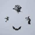 Silhouettes of witches and bats for Halloween, on a white background. Minimal aesthetic composition Royalty Free Stock Photo